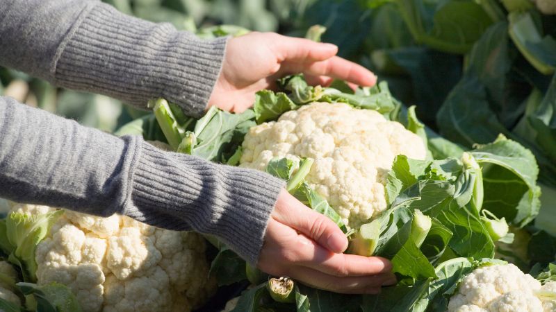 Can Dogs Eat Cauliflower 