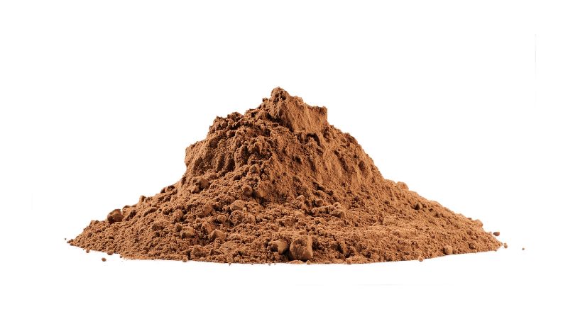 Can Dogs Eat Cocoa Powder?