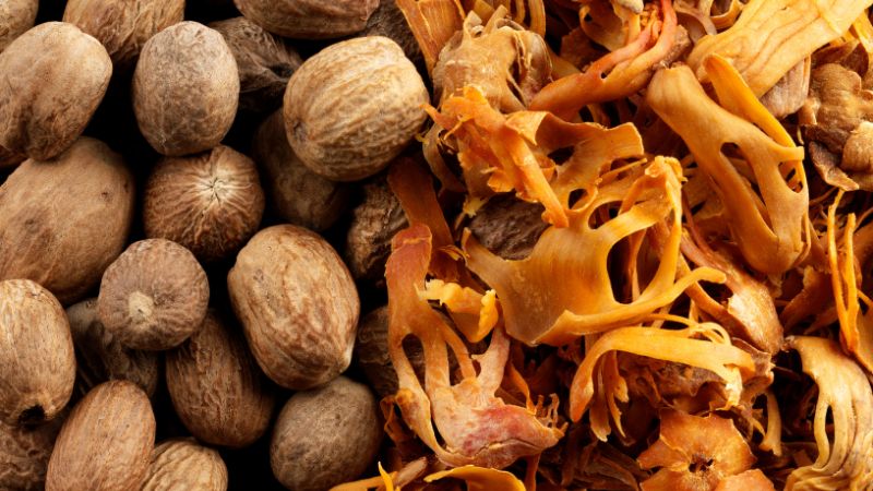 Can Dogs Eat Nutmeg?