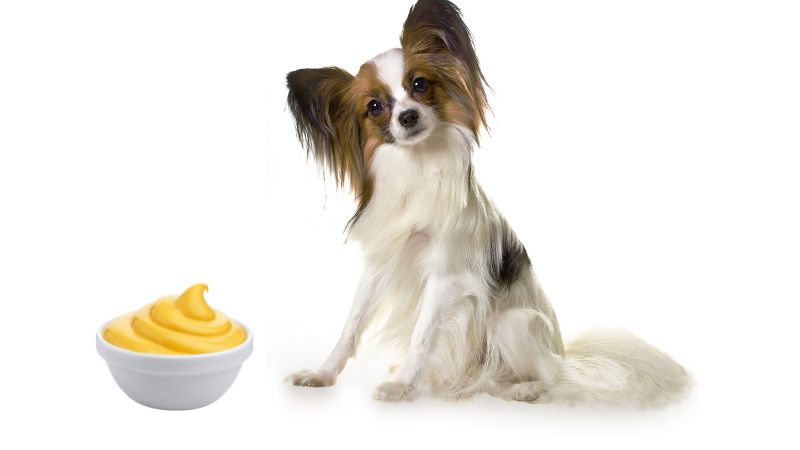 Can dogs eat mayonnaise 