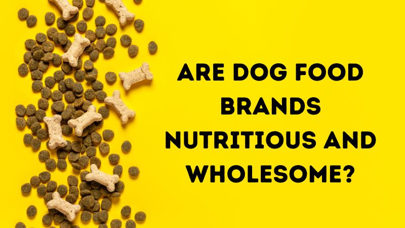 Are dog food brands nutritious and wholesome