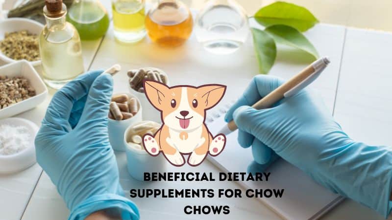 Beneficial Dietary Supplements for Chow Chows