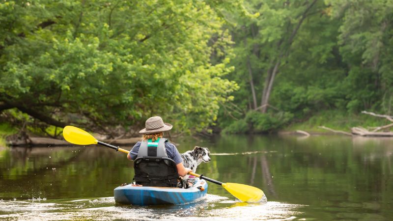 Best Kayaks for Dogs in 2023