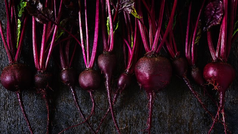 Can Dogs Eat Beetroot?