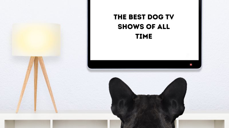 THE BEST DOG TV SHOWS OF ALL TIME