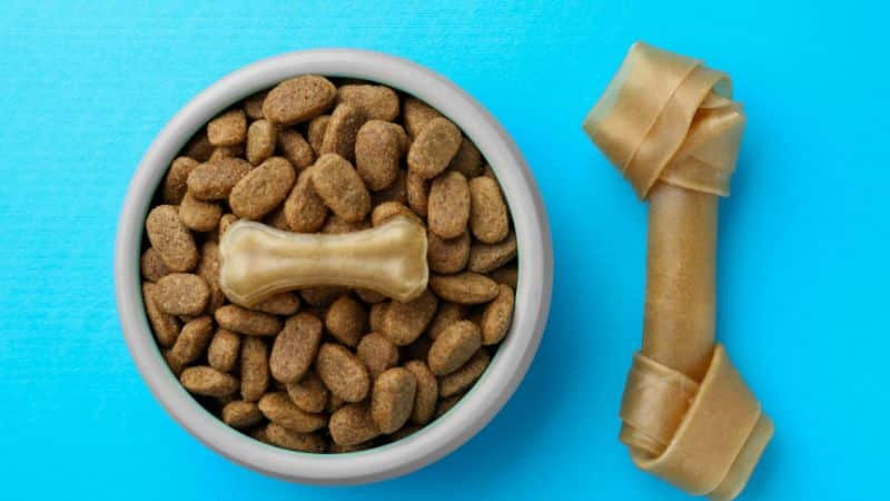 Best chew bones for dogs in 2023