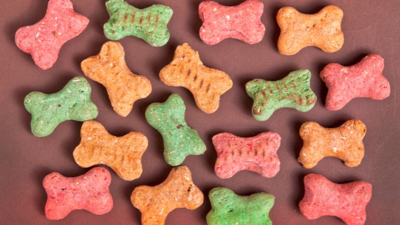 Best Bacon Treats for Dogs,