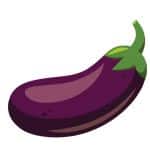 can dog eat Eggplants