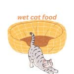 can dog eat wet cat food