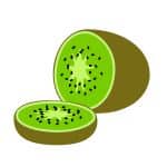 CAN DOG EAT Kiwi skin