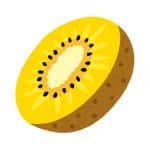 CAN DOG EAT kiwifruit