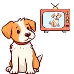 DOG TV SHOWS OF ALL TIME