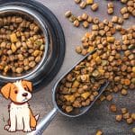 The Top Brands of Dry Dog Food