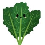 can dog eat Kale