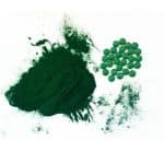 can dog eat spirulina